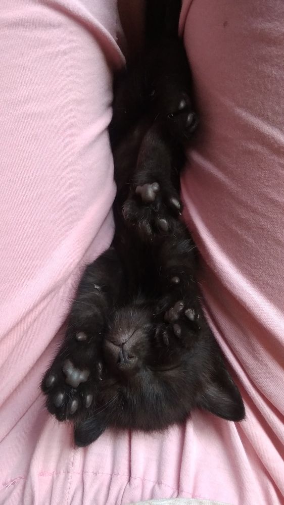 Photograph by Мария Голубева