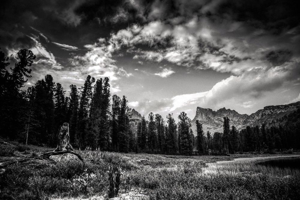 Фотография автора Катерина Осташева