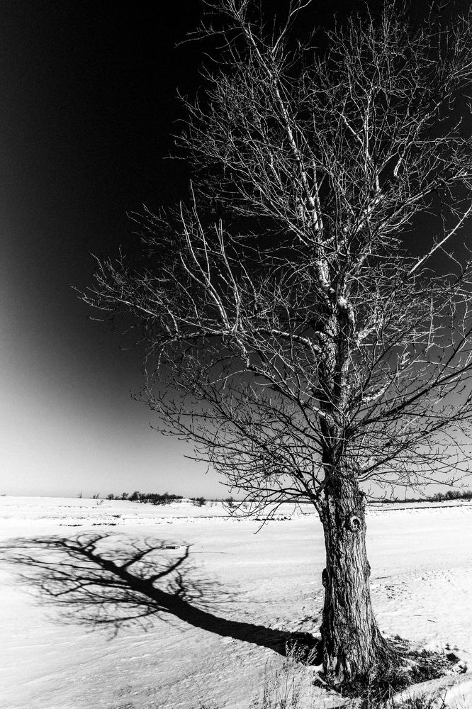 Фотография автора Катерина Осташева