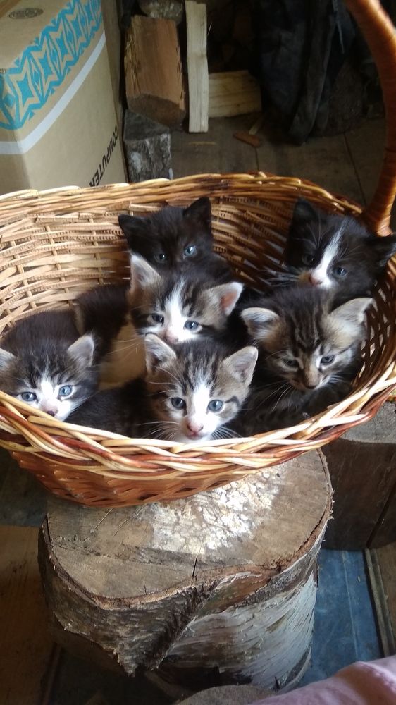 Photograph by Мария Голубева