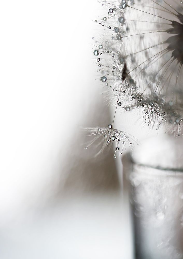 Photograph by ILONA KILA