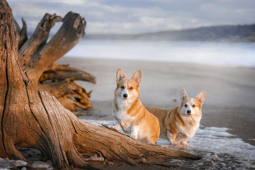 Photograph by Татьяна Тихомирова