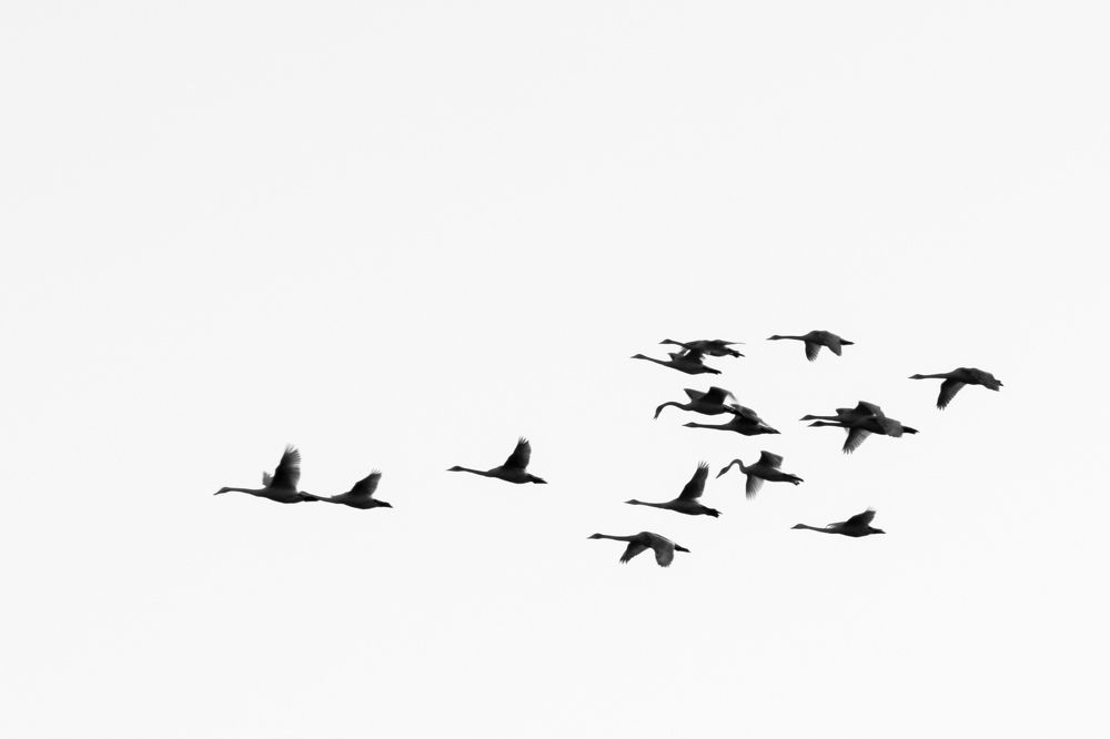 Photograph by Mostafa Mortazavi