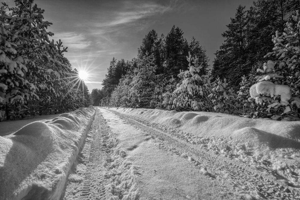 Фотография автора Евгений Кузнецов