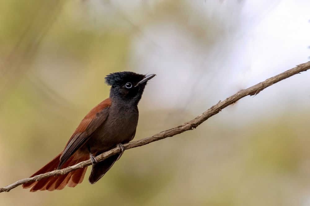 Photograph by Hervie Imus