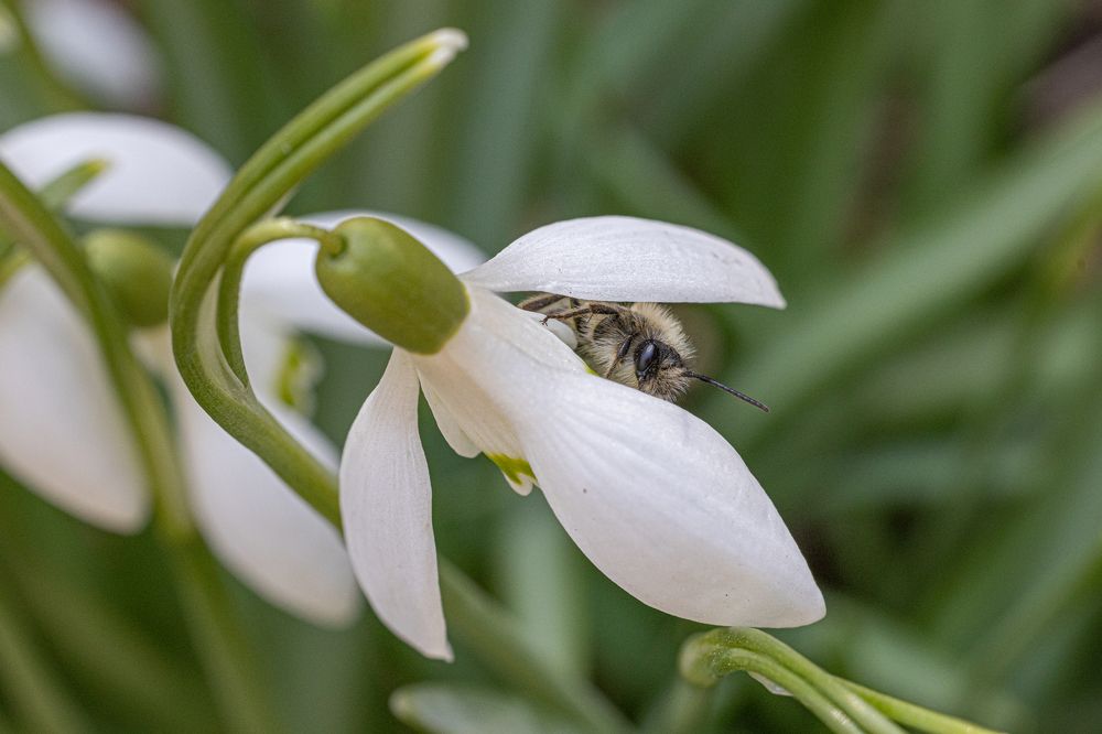Photograph by Татьяна Тихомирова