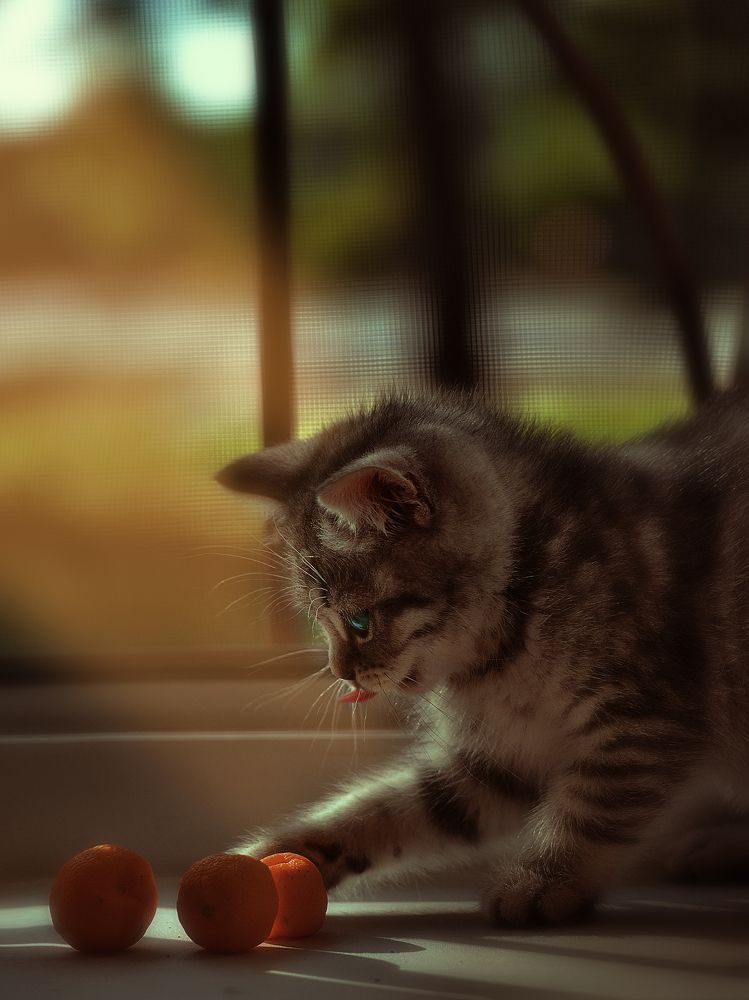 Photograph by Наталья Золотарева