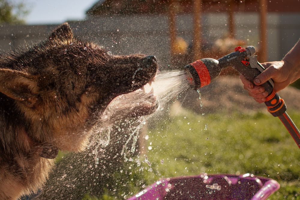 Photograph by Наталья Золотарева