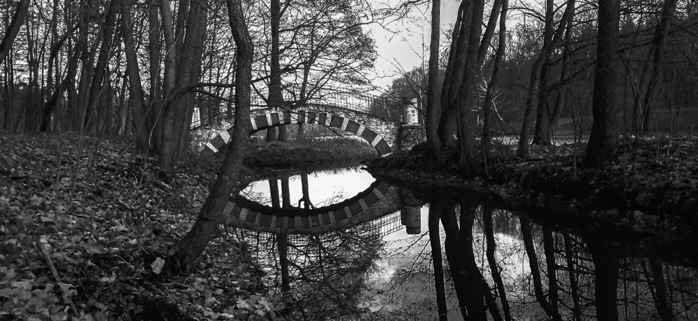 Фотография автора Дмитрий Нефёдов