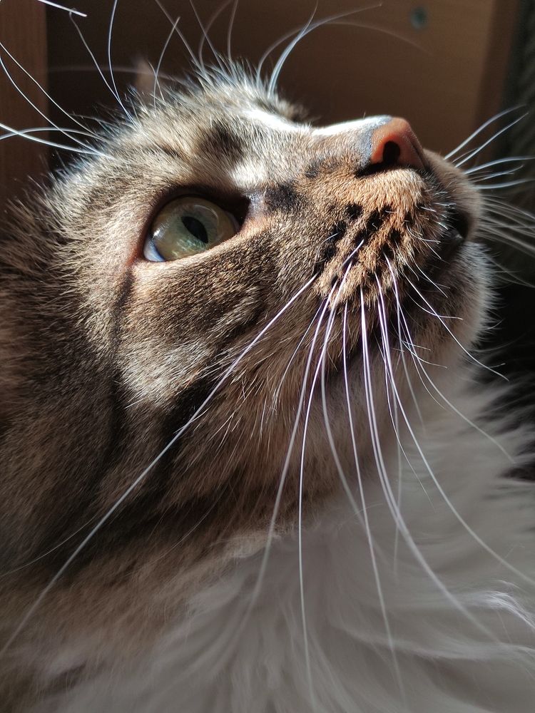 Photograph by Ирина Подлубная