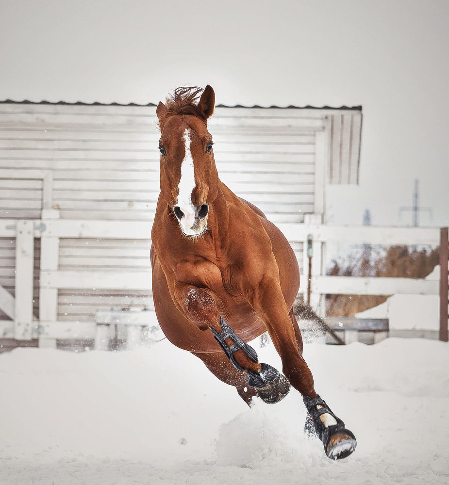 Photograph by Кристина Горковская