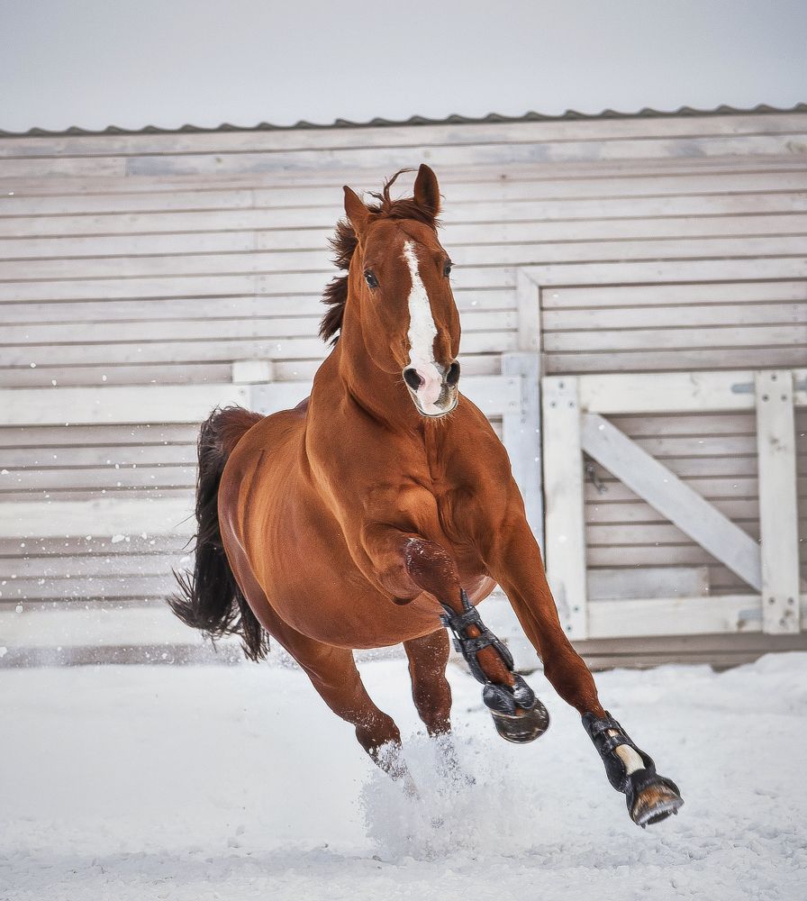 Photograph by Кристина Горковская