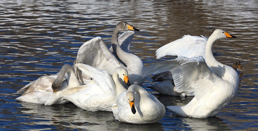 Фотография автора Евгений Печенин