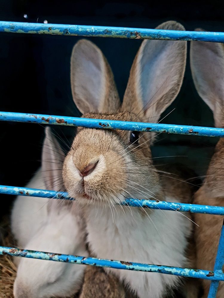 Photograph by Евгения Хоменко