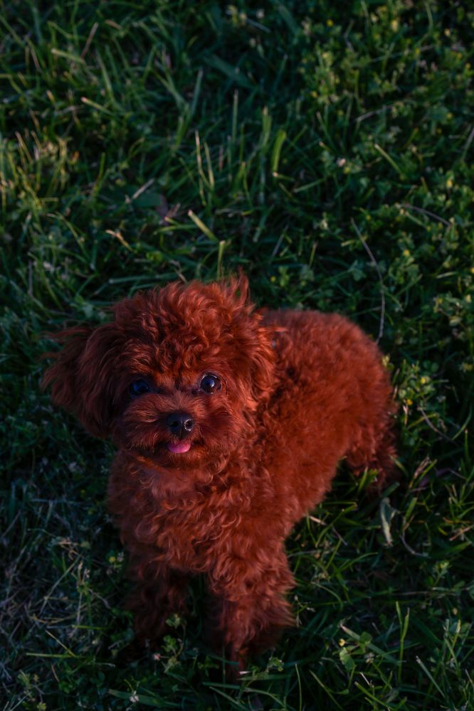 Photograph by Юлия Скиба