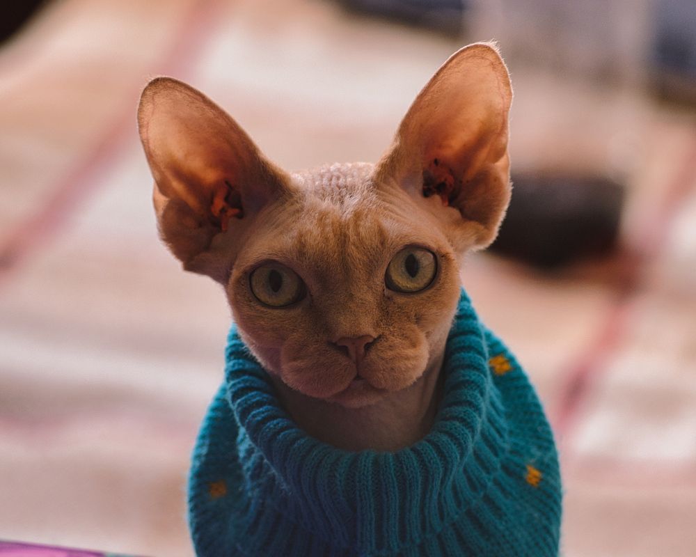 Photograph by Александр