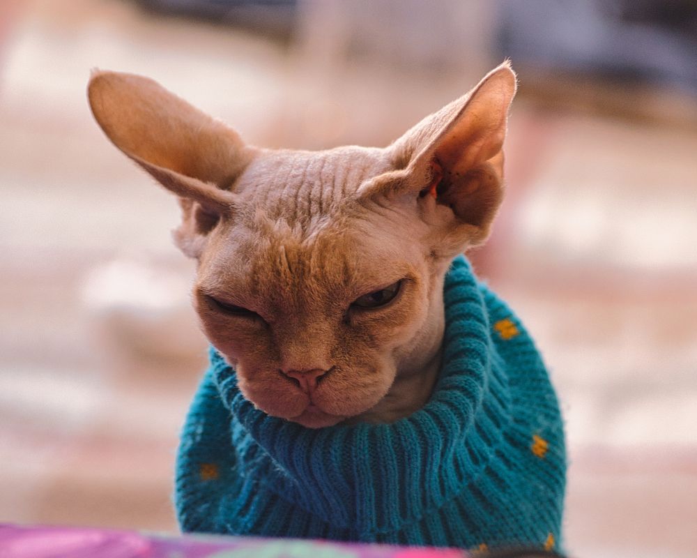 Photograph by Александр