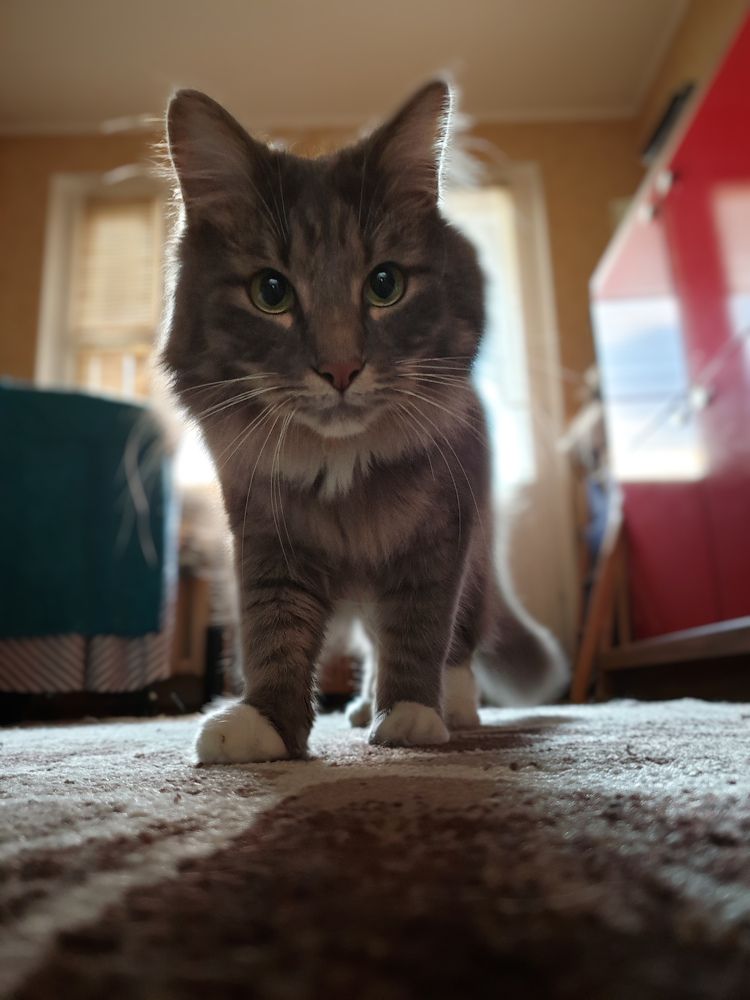 Photograph by Малявко Владимир