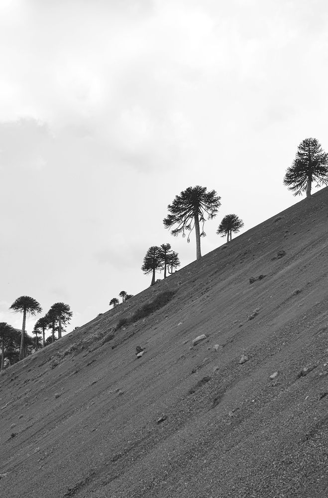 Photograph by Наталья Абилова