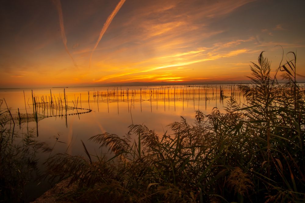 Photograph by Pablo Garces Margaix