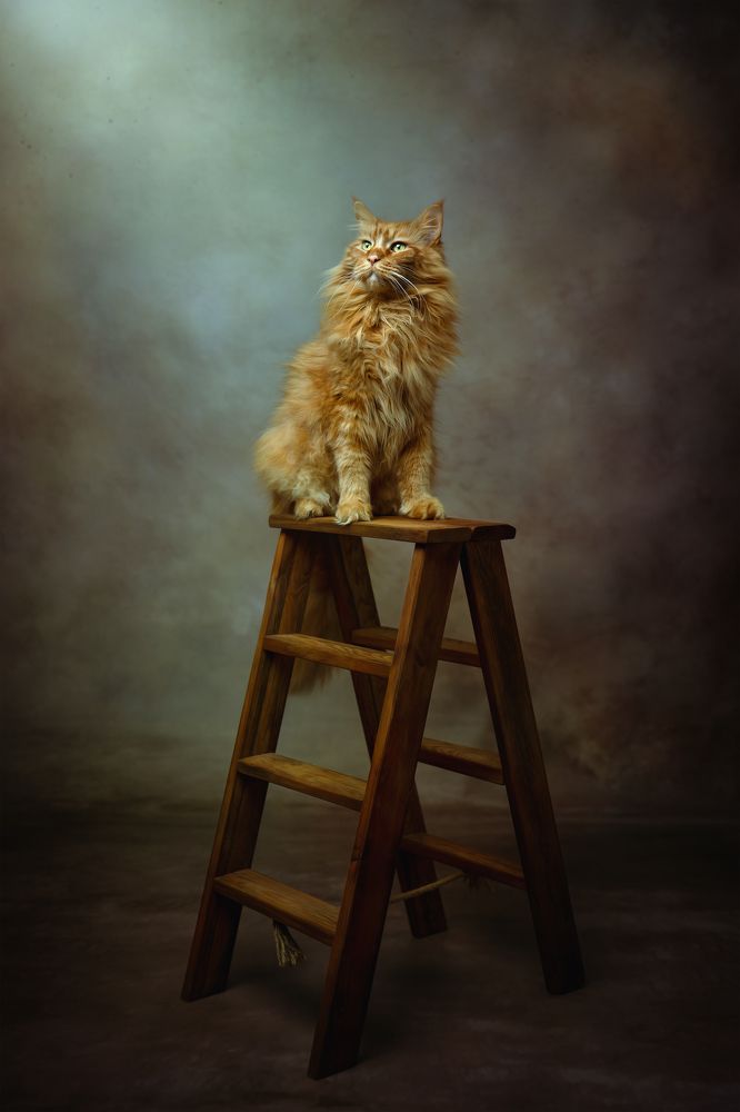 Фотография автора Kasia Kapała