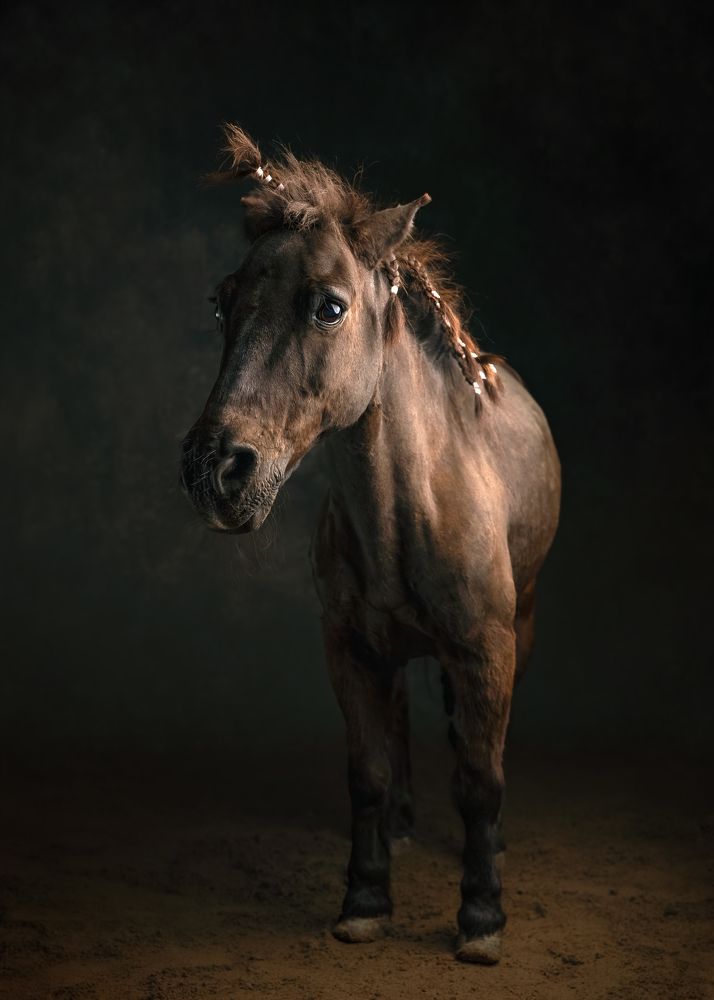 Photograph by Kasia Kapała