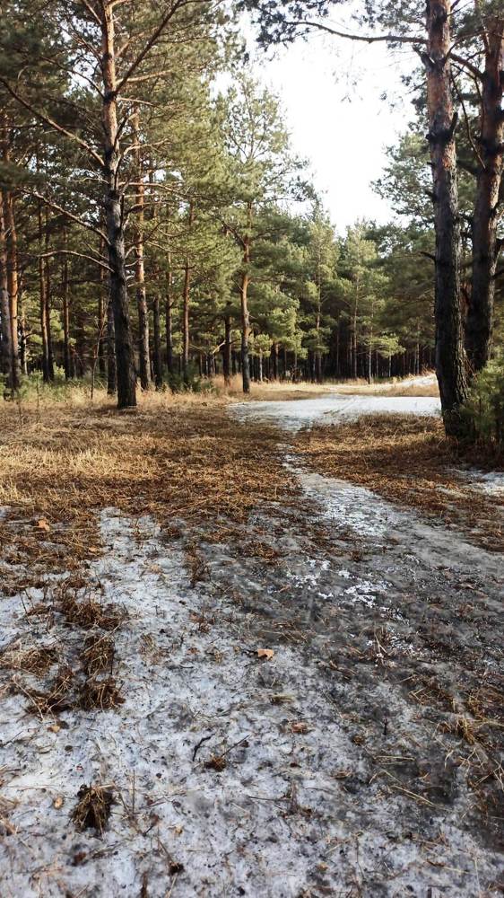 Photograph by Татьяна Гульпа