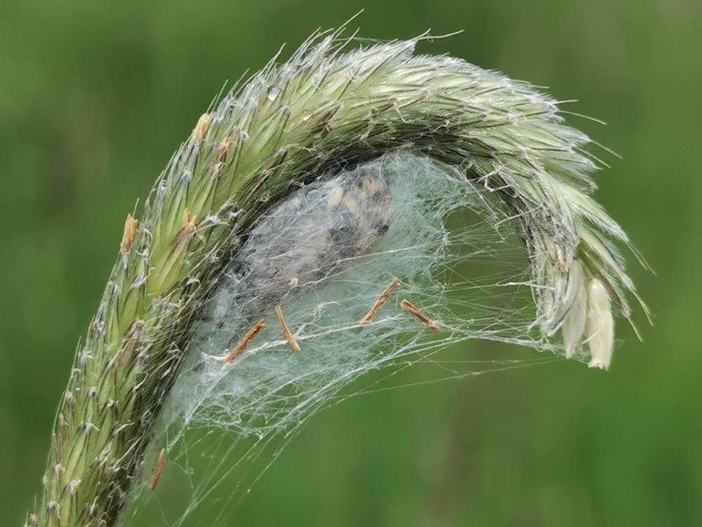 Photograph by Maciej