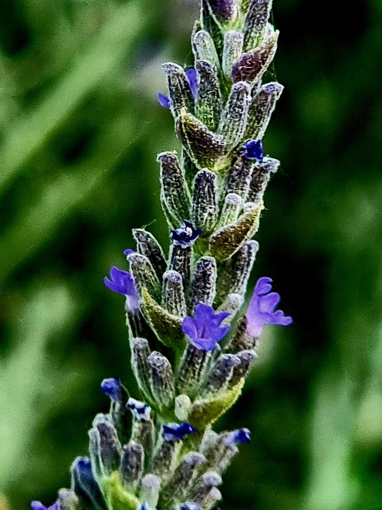 Photograph by Effie Zacharia