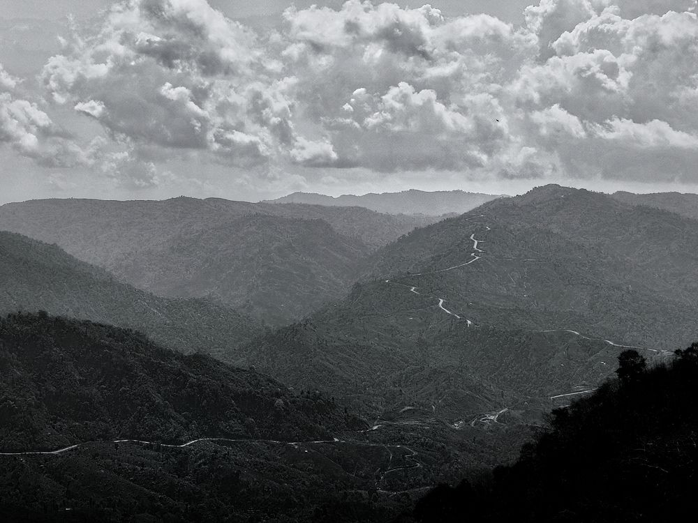 The Infinite path . . .