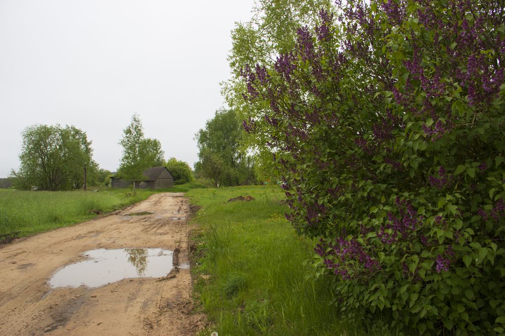 Photograph by Анна-Лаймуте Милошевич