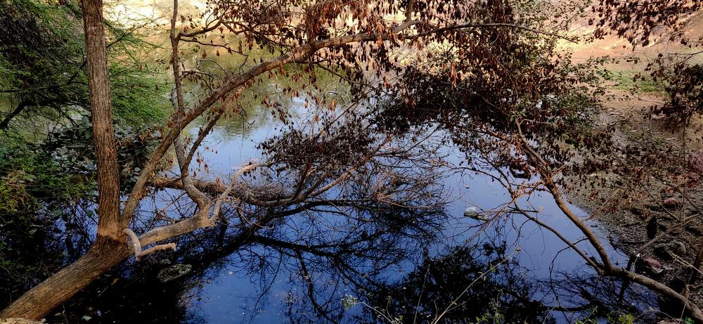 Photograph by Abid Ali Khan