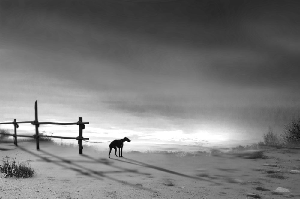 Photograph by T. Bondarenko