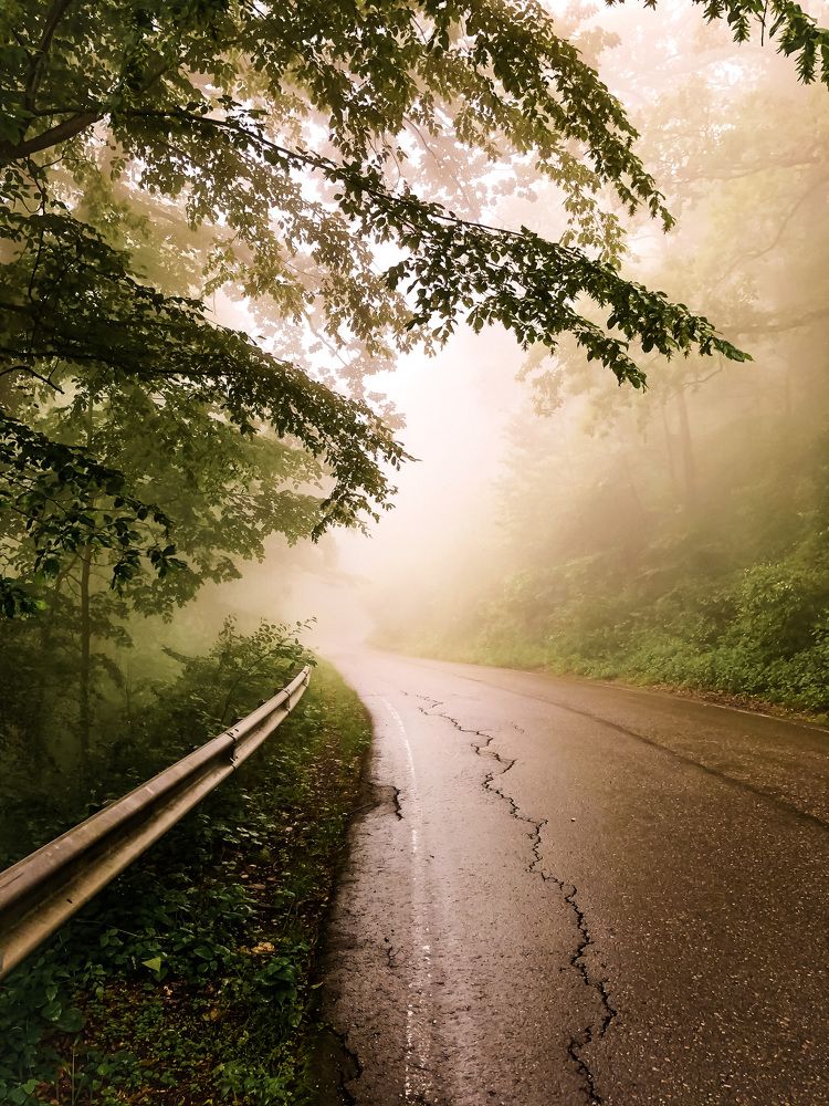 Photograph by Tanya Lobova