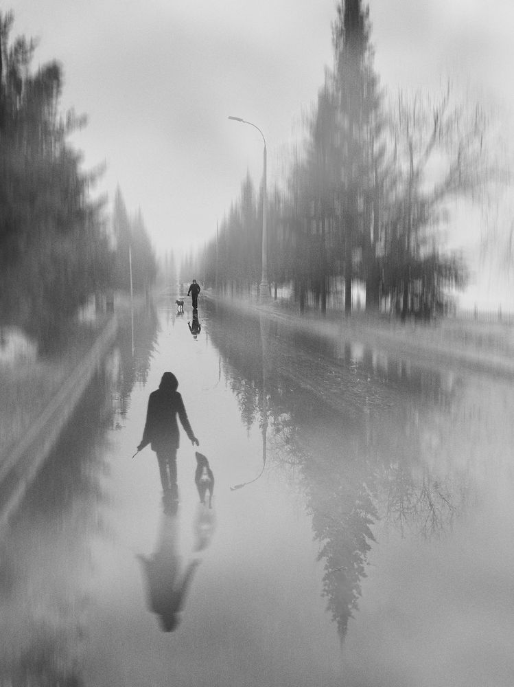 Photograph by T. Bondarenko