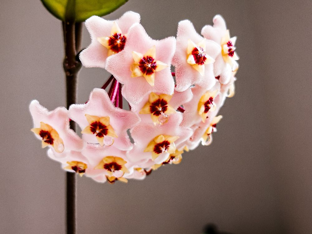 Photograph by Наталья