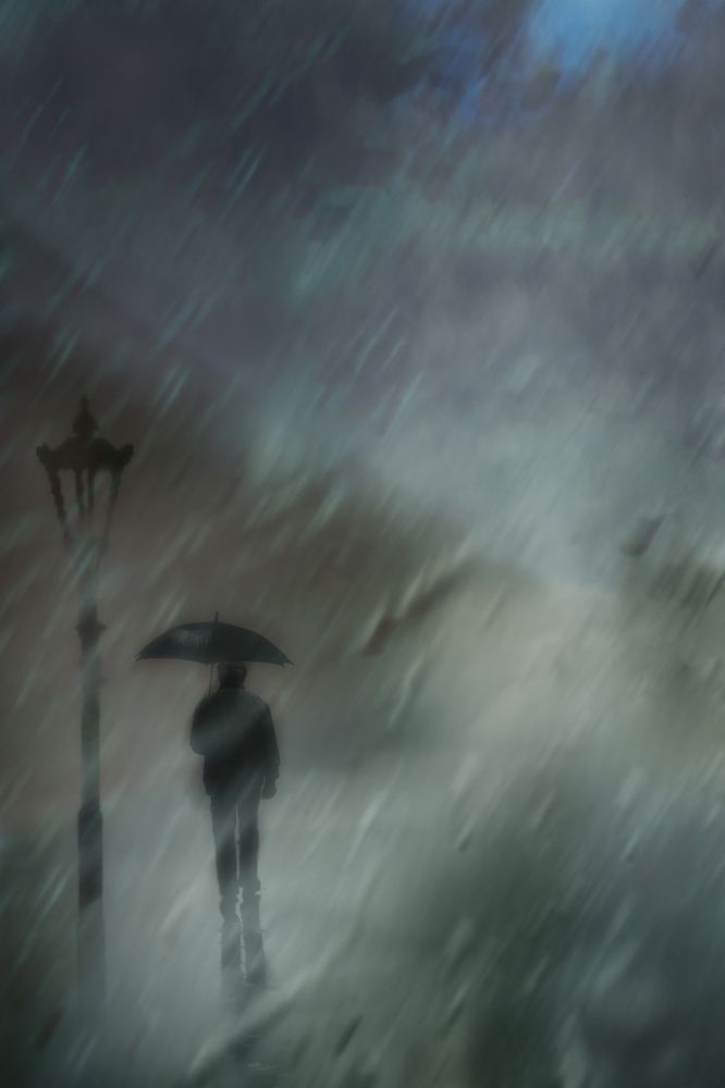 Photograph by T. Bondarenko