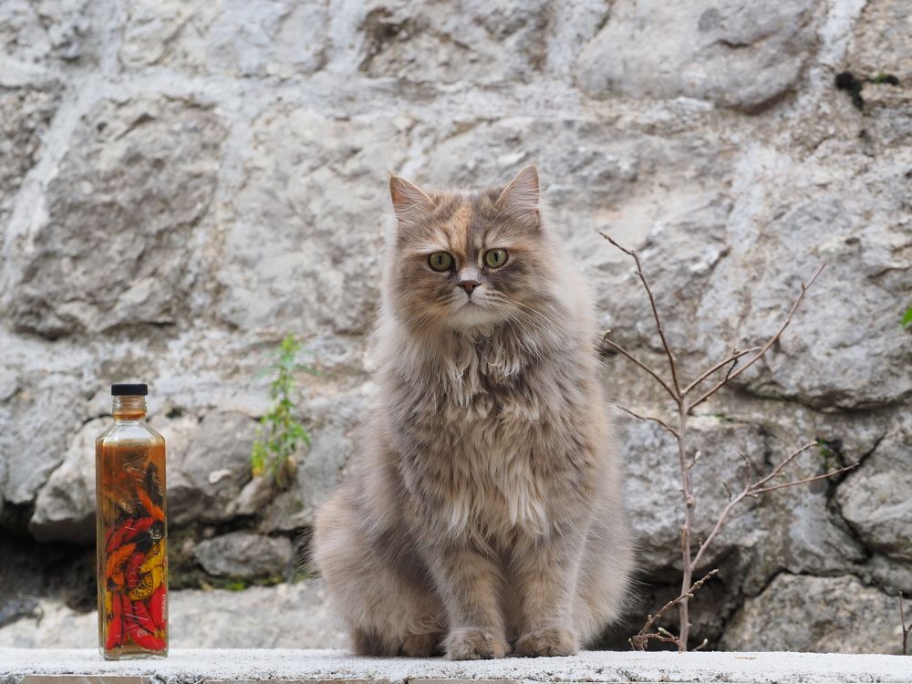 Photograph by Anna Zelinskaya