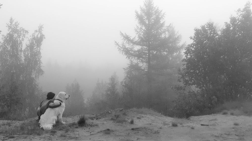 Photograph by Ангелина