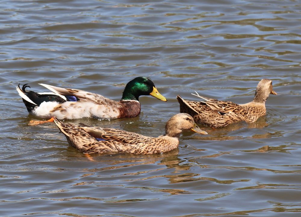 Photograph by Сергей Выржиковский