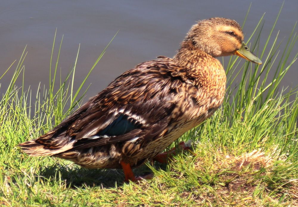 Photograph by Сергей Выржиковский