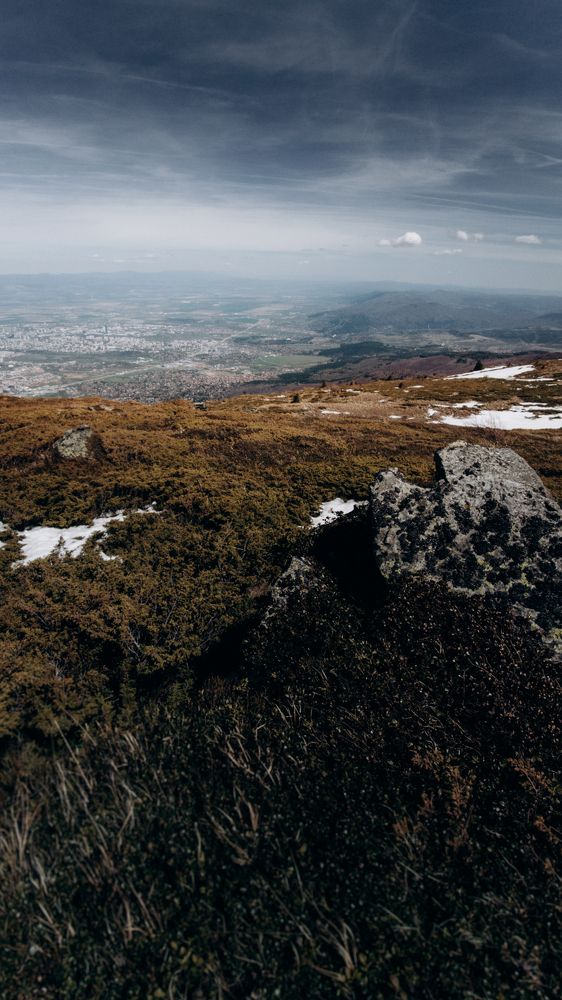 Фотография автора Мухин Алексей