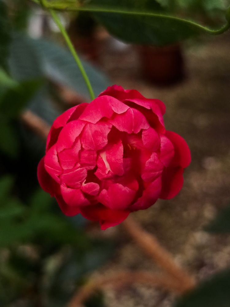 Photograph by Наталья