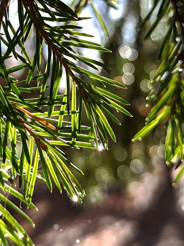 Photograph by Наталья