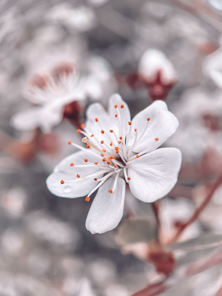 Photograph by Анна Бобкова