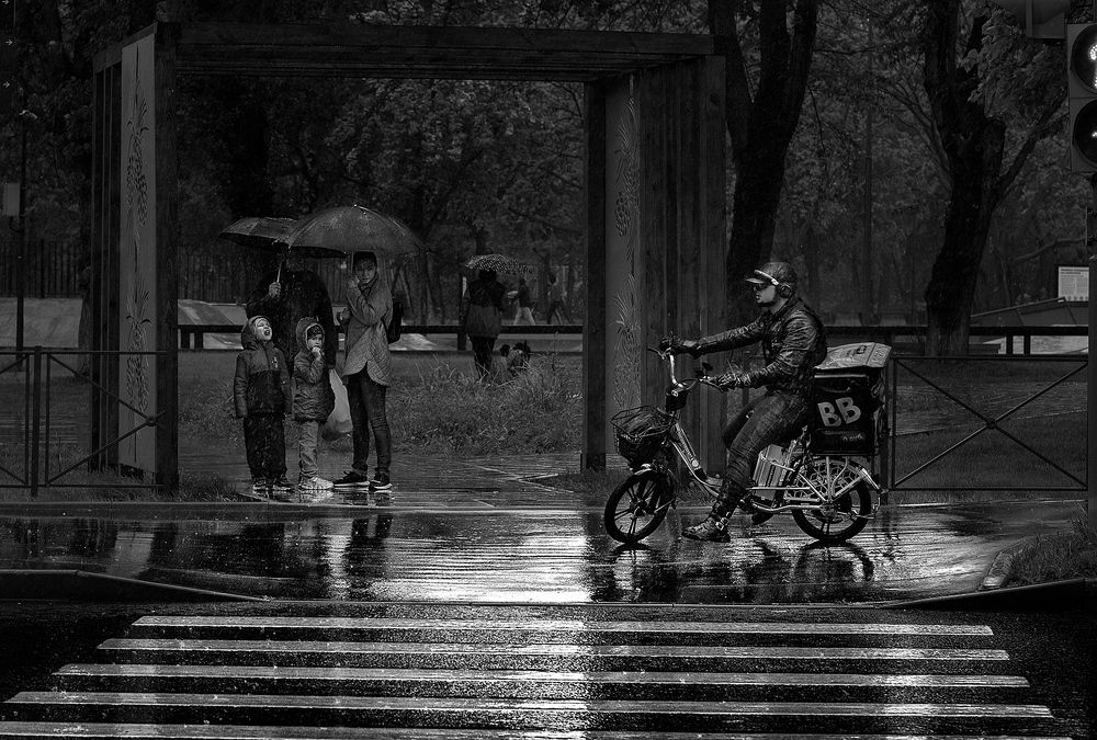 Photograph by Vera Trandina