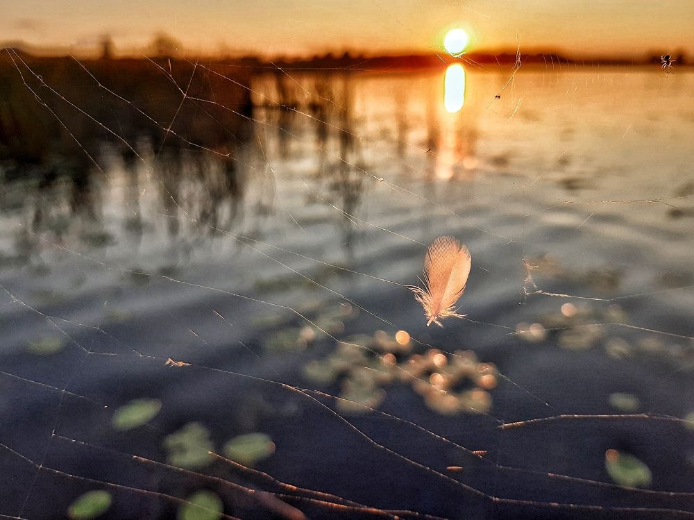 Photograph by Инесса Громова