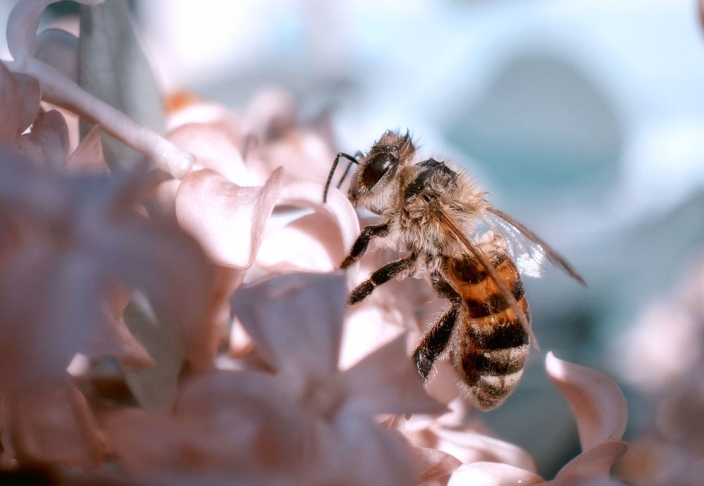 Photograph by Юлия Лушникова