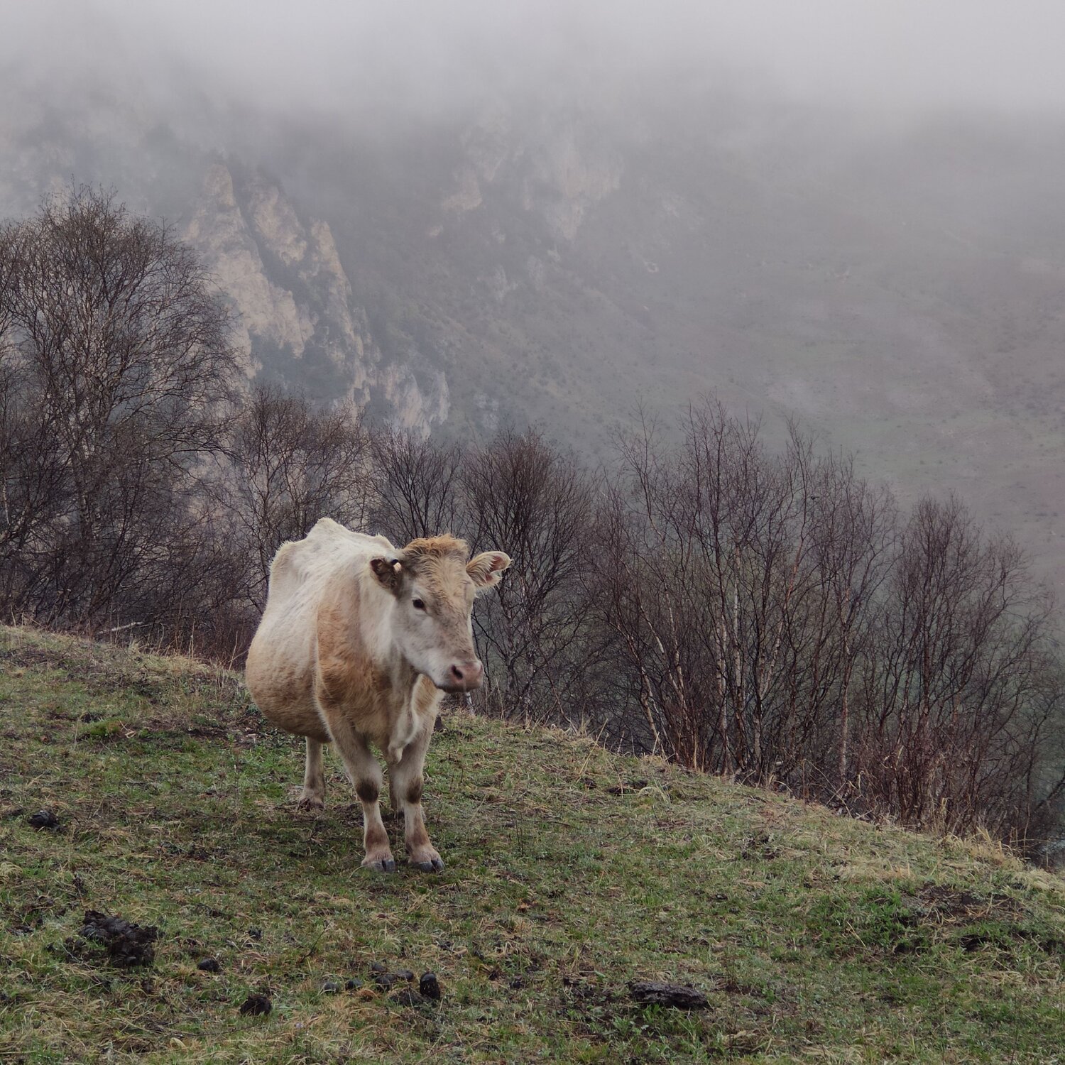 Photo #7621648