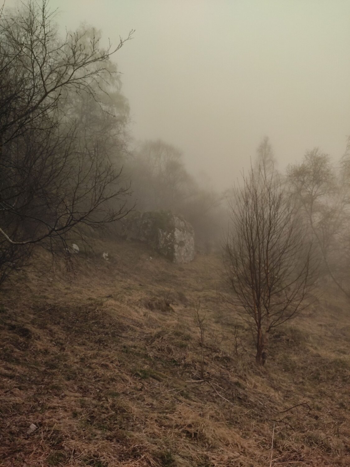 Photo #7621649